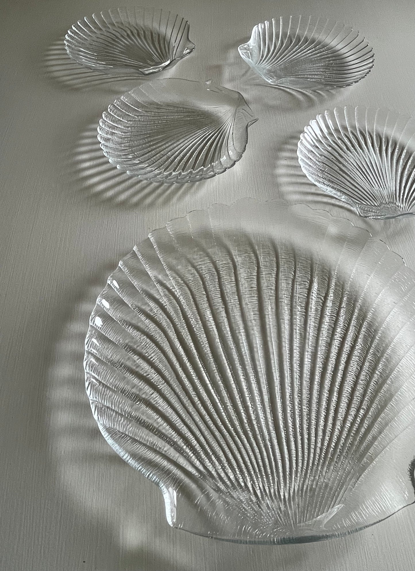 Four Seashell Plates and Serving Tray