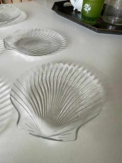 Four Seashell Plates and Serving Tray