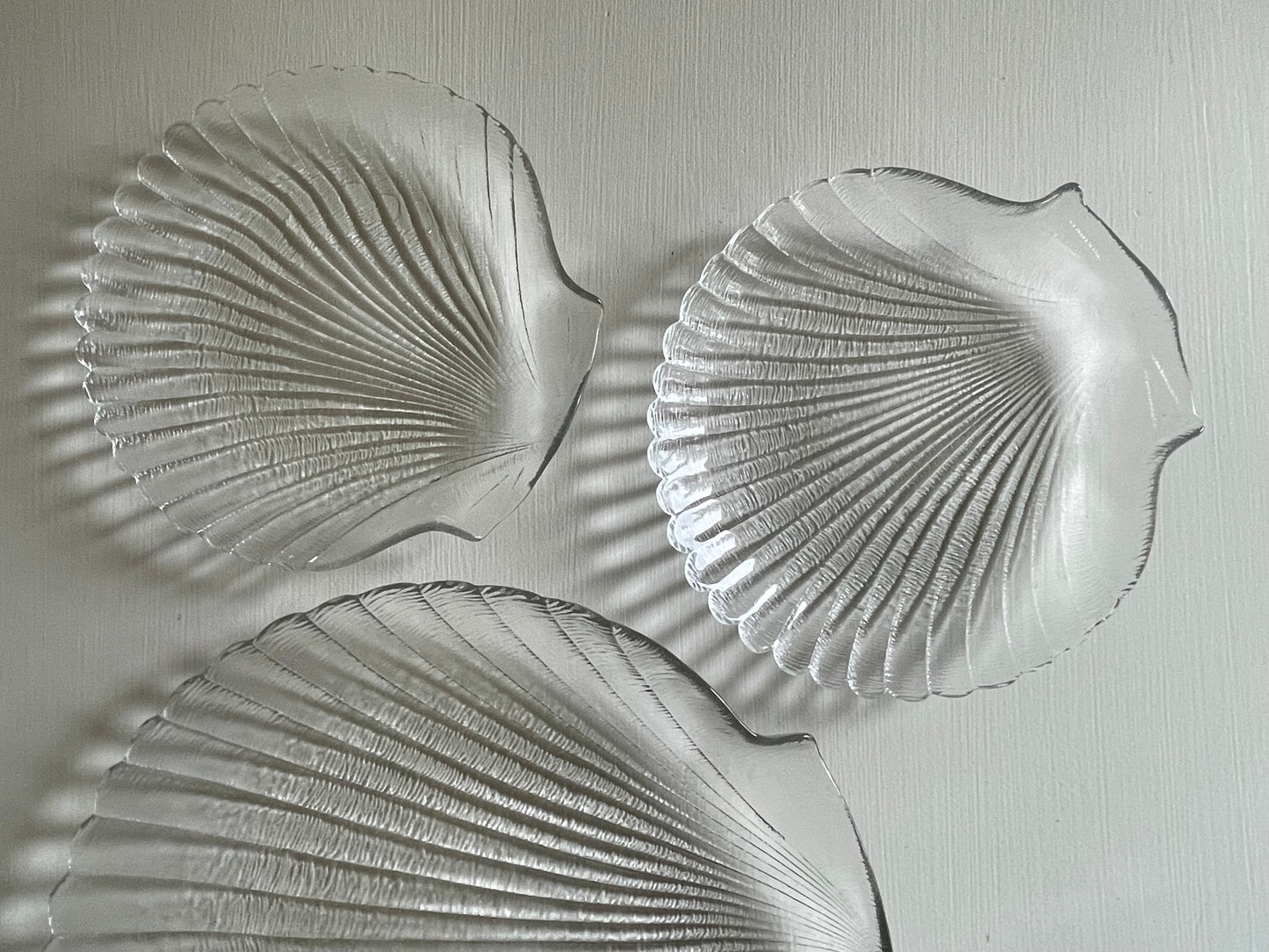 Four Seashell Plates and Serving Tray