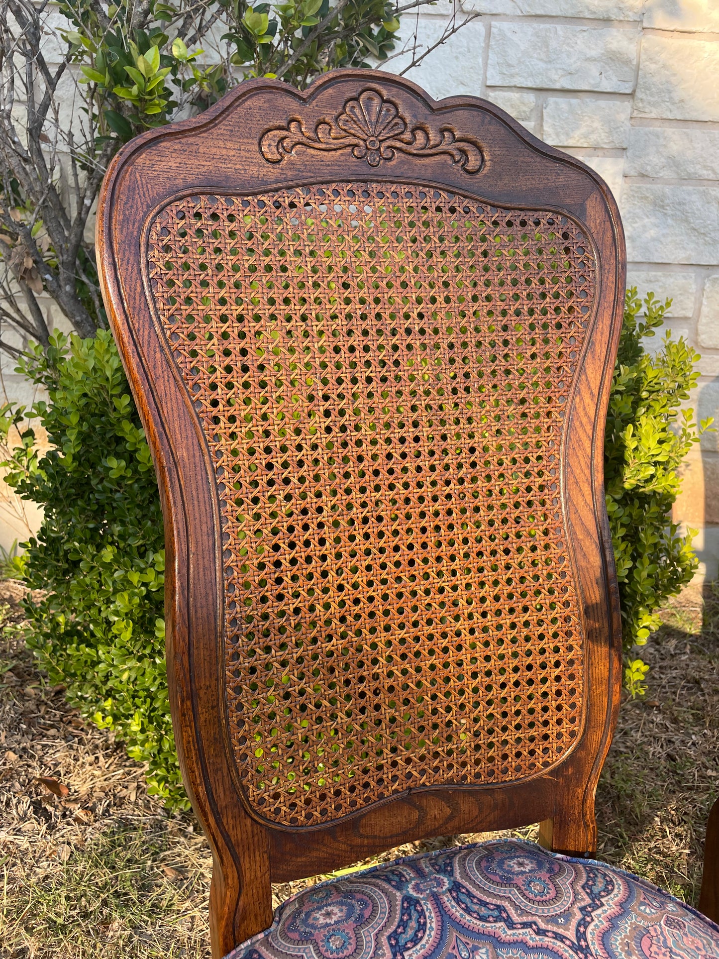 Vintage French Provincial Cane Back Chairs